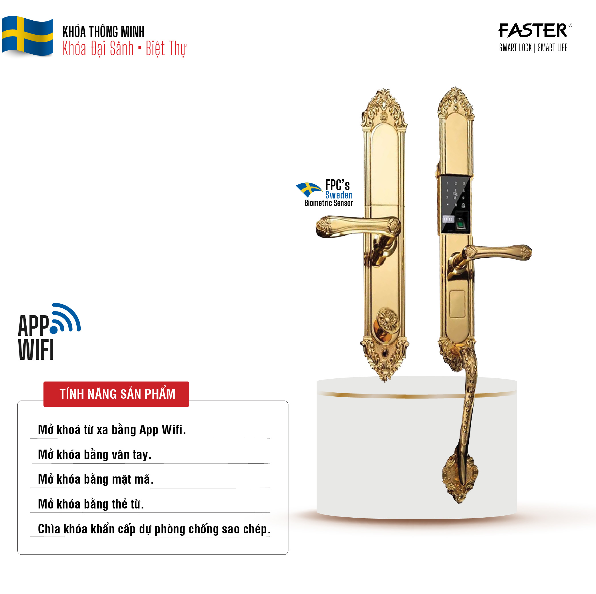 Khóa cửa gỗ thân đồng mạ vàng FS019